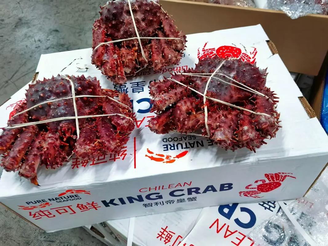 2025帝王蟹价格走势如何？-图2