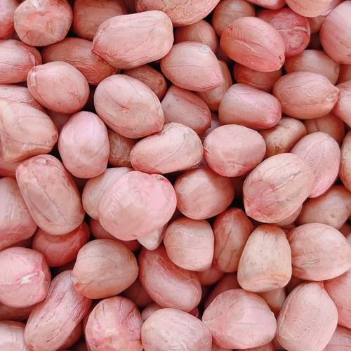 2025年广西花生价格会涨还是跌？-图3