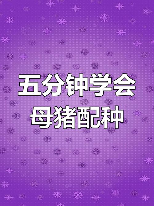 母猪配种有哪些关键技术与注意事项？-图1