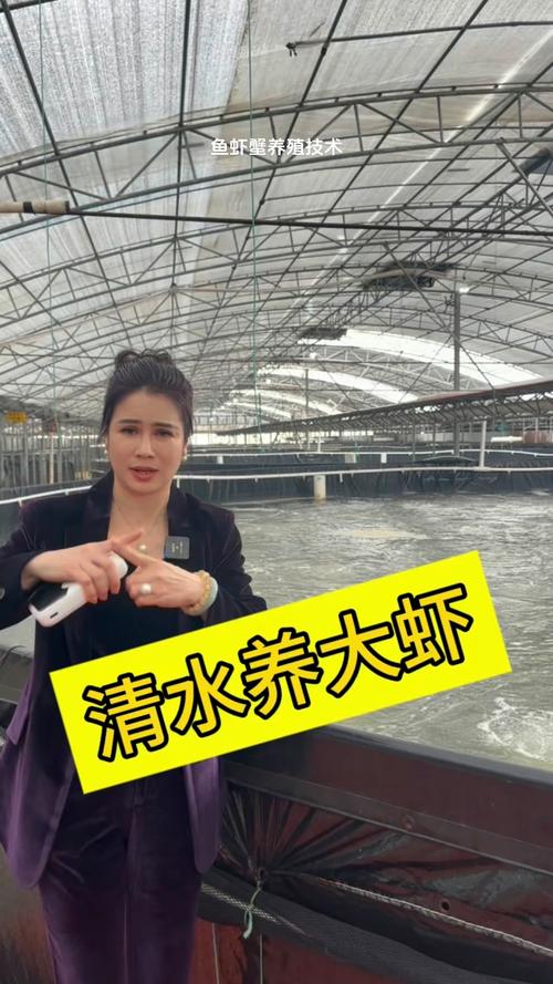 南美白对虾养殖技术要点有哪些关键？-图3