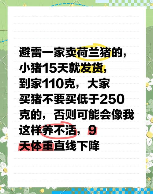 2025养殖黑豚鼠价格会涨还是跌？-图3