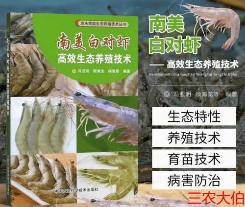 南美白对虾养殖技术有哪些关键要点?-图2 南美白对虾养殖技术有哪些关键要点?-图2