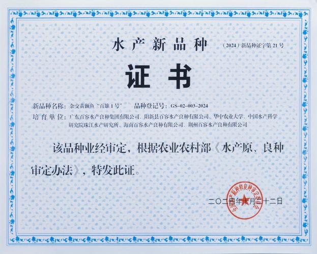 杂交黄颡鱼品种认定证书有何具体价值？-图1