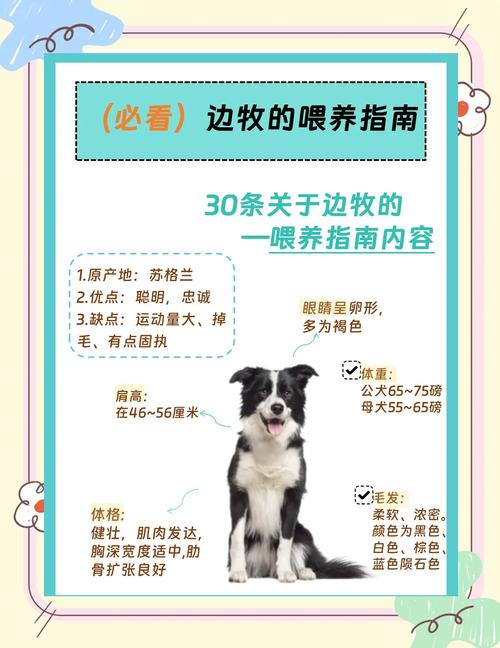 牧草品种如何科学选？-图2