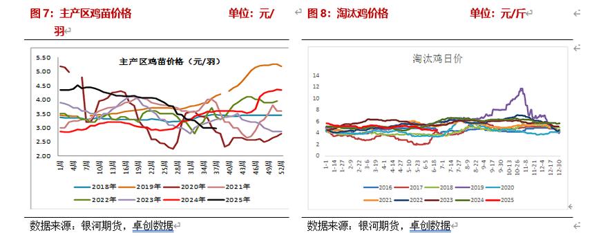 山西2025年淘汰鸡价格会涨还是跌？-图2
