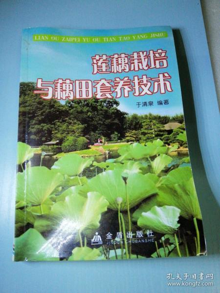 莲藕栽培与藕田套养技术-图1 莲藕栽培与藕田套养技术-图1