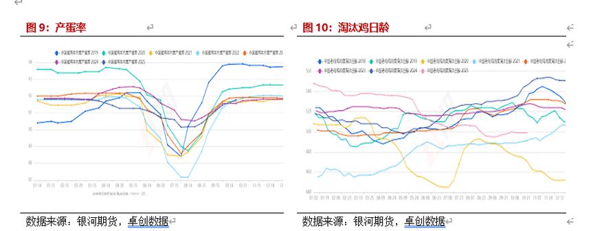2025淘汰鸡今日价格多少？行情走势如何？-图3