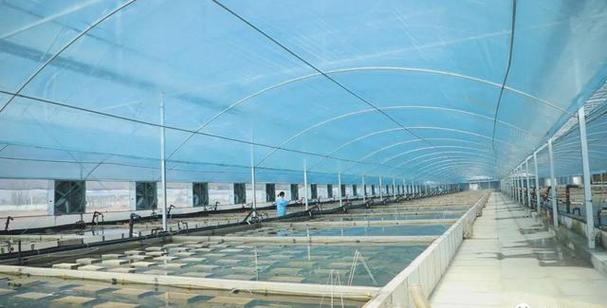 小龙虾工厂化养殖技术如何高效实现?-图2 小龙虾工厂化养殖技术如何高效实现?-图2