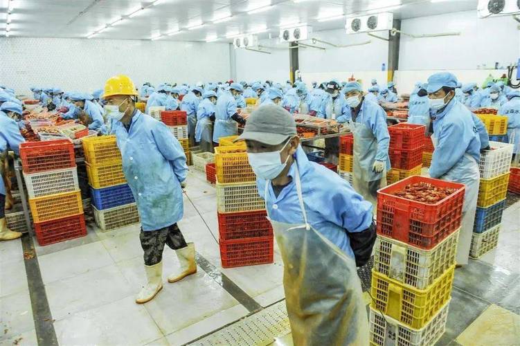 小龙虾工厂化养殖技术如何高效实现?-图1 小龙虾工厂化养殖技术如何高效实现?-图1