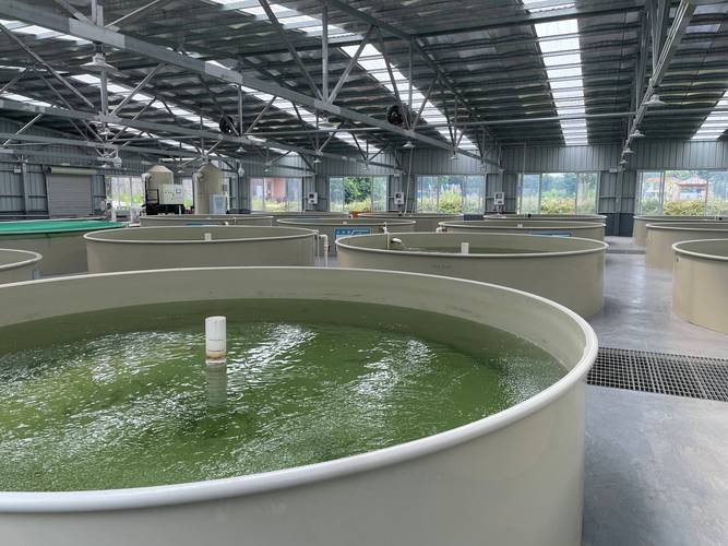 养殖水体调控技术，核心方法有哪些？-图3