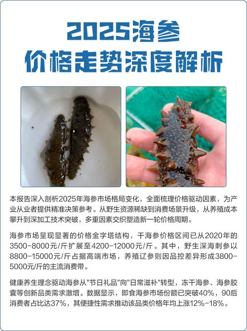 2025年海参价格会涨还是跌?-图1 2025年海参价格会涨还是跌?-图1