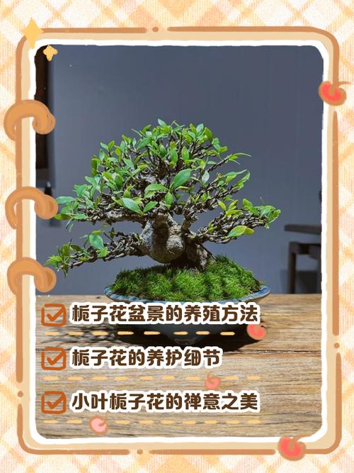 盆景栽培与制作,关键技术有哪些?-图1 盆景栽培与制作,关键技术有哪些?-图1