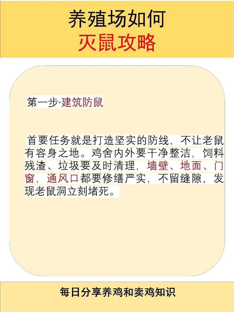 土鸡养殖技术及防疫管理关键要点有哪些？-图2
