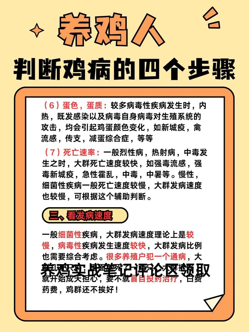 土鸡养殖技术及防疫管理关键要点有哪些？-图3