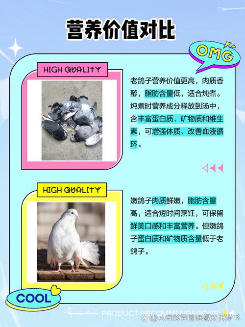 肉鸽哪个品种繁殖速度最快？-图2