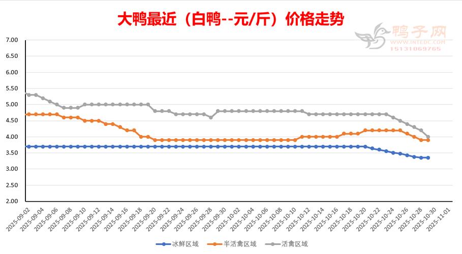 2025年鸭苗价格会涨还是跌?-图1 2025年鸭苗价格会涨还是跌?-图1