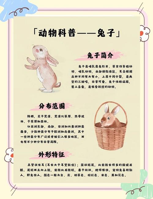 德系獭兔养殖技术有哪些关键要点?-图2 德系獭兔养殖技术有哪些关键要点?-图2