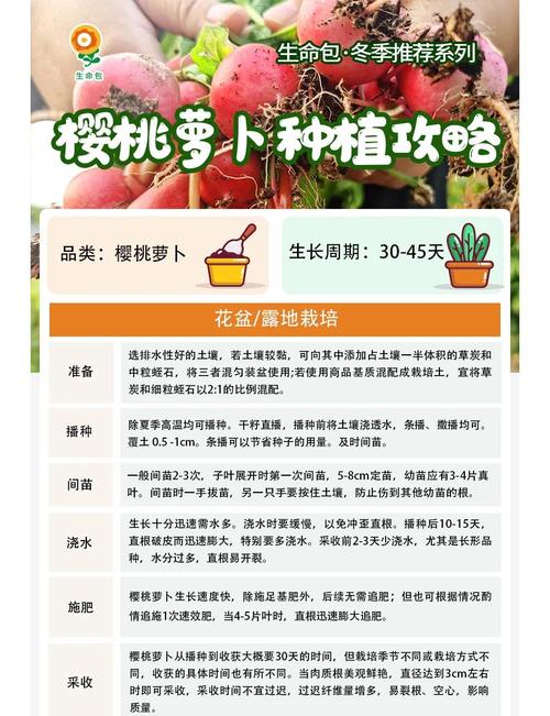 樱桃品种不同,种植方法有何差异?-图3 樱桃品种不同,种植方法有何差异?-图3