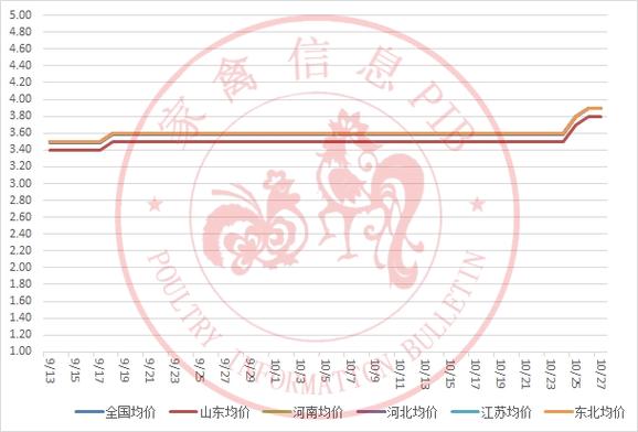 2025年今日鸡雏价格多少钱一只?-图3 2025年今日鸡雏价格多少钱一只?-图3