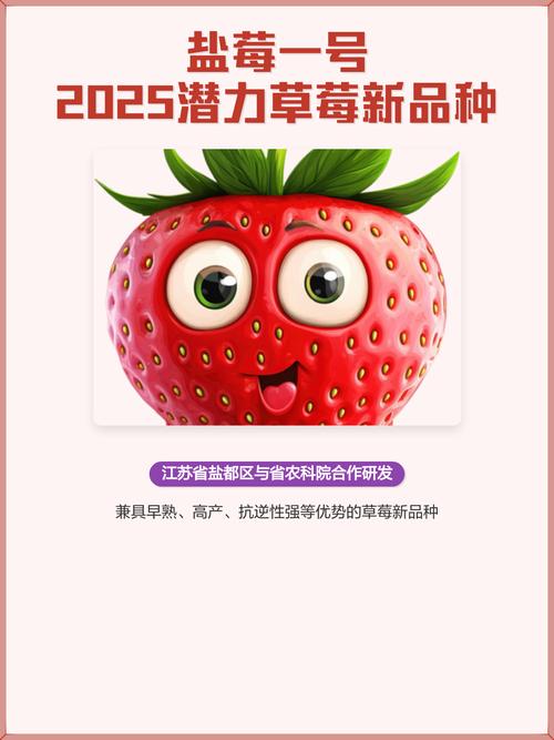 2025年草莓价格会涨还是跌？-图3