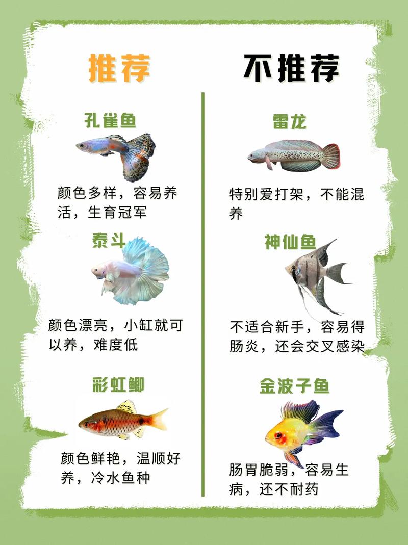 常见养殖鱼品种大全图片-图2