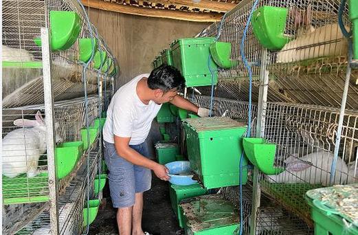 种免养殖视频如何高效播放与应用？-图3