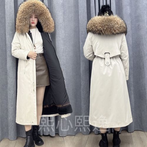 2025年獭兔价格会涨还是会跌?-图1 2025年獭兔价格会涨还是会跌?-图1