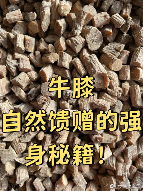 牛膝2025年价格会涨还是跌？-图1