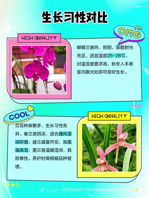 花市买兰花，如何快速区分品种？-图3