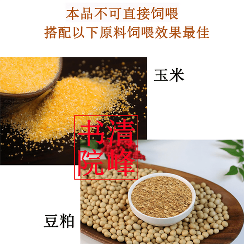 养土鸡青饲料技术视频怎么选?-图3 养土鸡青饲料技术视频怎么选?-图3