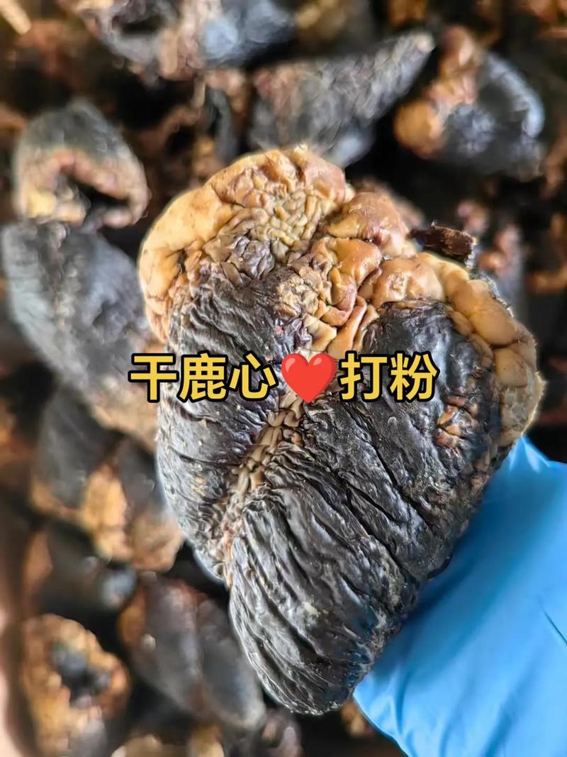 肉用鹿养殖成本与技术难点有哪些？-图3