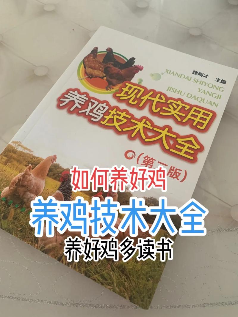 养鸡技术与管理的核心要点有哪些?-图2 养鸡技术与管理的核心要点有哪些?-图2