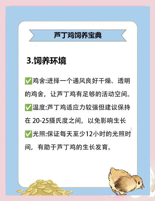 养鸡技术与管理的核心要点有哪些?-图1 养鸡技术与管理的核心要点有哪些?-图1