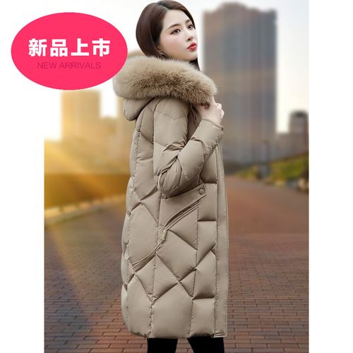 2025年貉子价格会涨还是跌？-图2