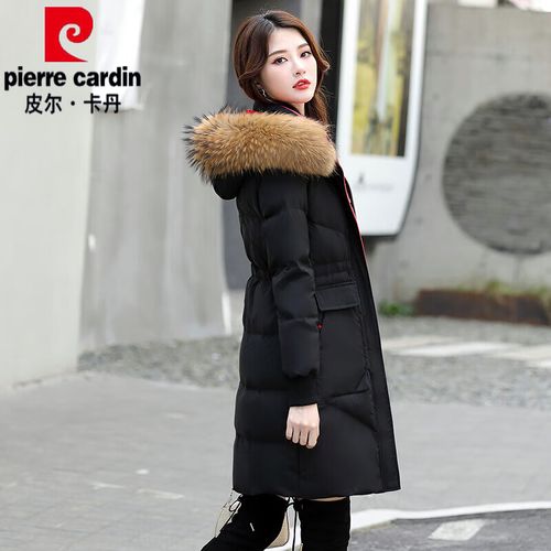 2025年貉子价格会涨还是跌？-图1