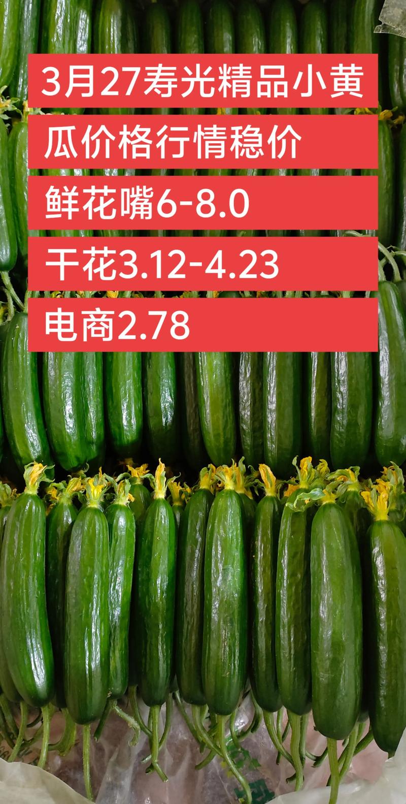 2025年昆明黄瓜价格会涨还是跌?-图3 2025年昆明黄瓜价格会涨还是跌?-图3