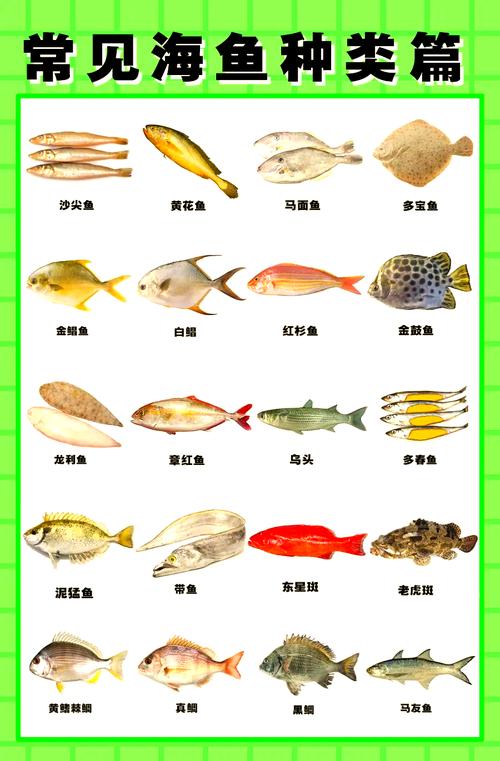 水产鱼类品种图片大全,收录了多少种?-图1 水产鱼类品种图片大全,收录了多少种?-图1