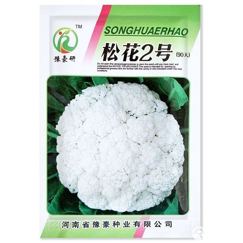 越冬有机菜花种植技术要点有哪些?-图2 越冬有机菜花种植技术要点有哪些?-图2