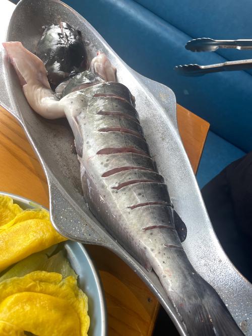 贵州江团鱼养殖技术关键要点有哪些？-图3