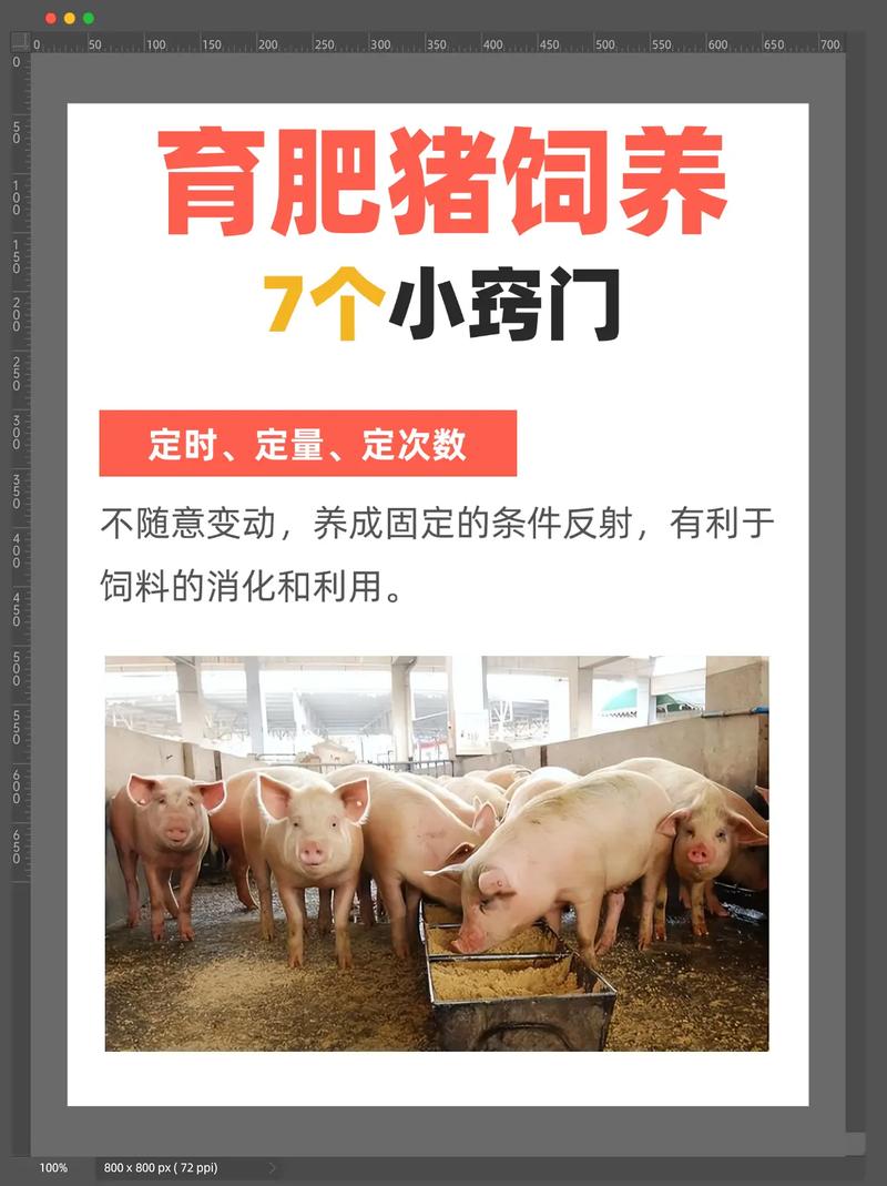 农广天地养猪技术有哪些核心要点？-图1