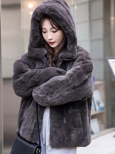 2025年獭兔最新价格是多少?-图3 2025年獭兔最新价格是多少?-图3