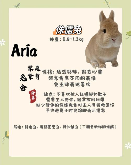 家兔与野兔品种相似,是驯化还是巧合?-图3 家兔与野兔品种相似,是驯化还是巧合?-图3