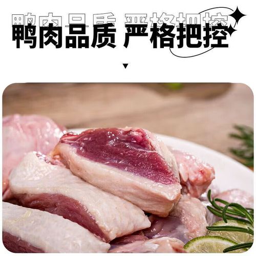 樱桃谷鸭养殖技术要点有哪些？-图2