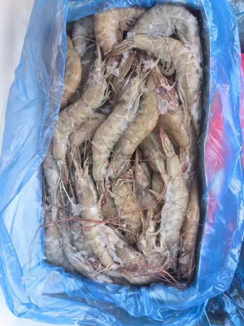 中国进口白对虾有哪几种品种？-图2