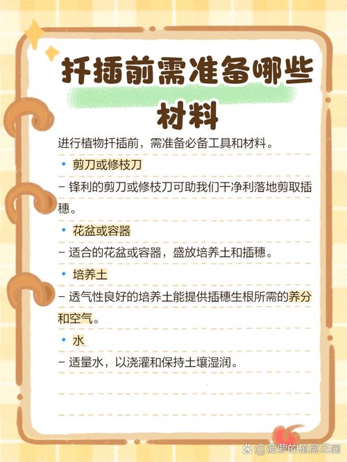 美国红提扦插视频,关键步骤有哪些?-图3 美国红提扦插视频,关键步骤有哪些?-图3