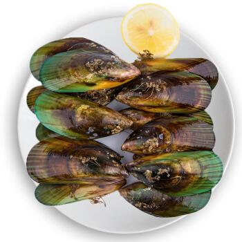 中国水产出口新西兰,主打哪些品种?-图3 中国水产出口新西兰,主打哪些品种?-图3