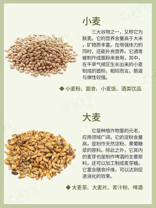 小麦品种河南山东,哪个更优?-图1 小麦品种河南山东,哪个更优?-图1