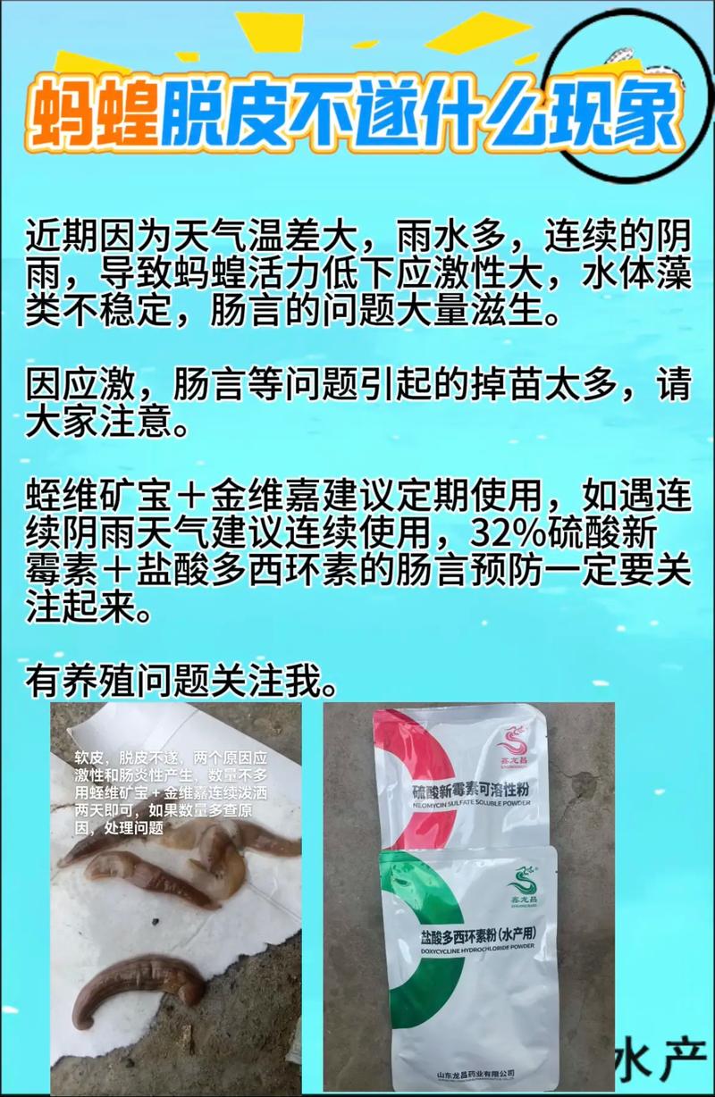 2025年水蛭种苗价格会涨还是跌？-图3