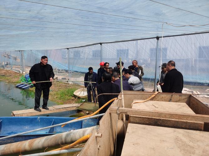 网箱渔业养殖技术培训有何核心要点?-图1 网箱渔业养殖技术培训有何核心要点?-图1