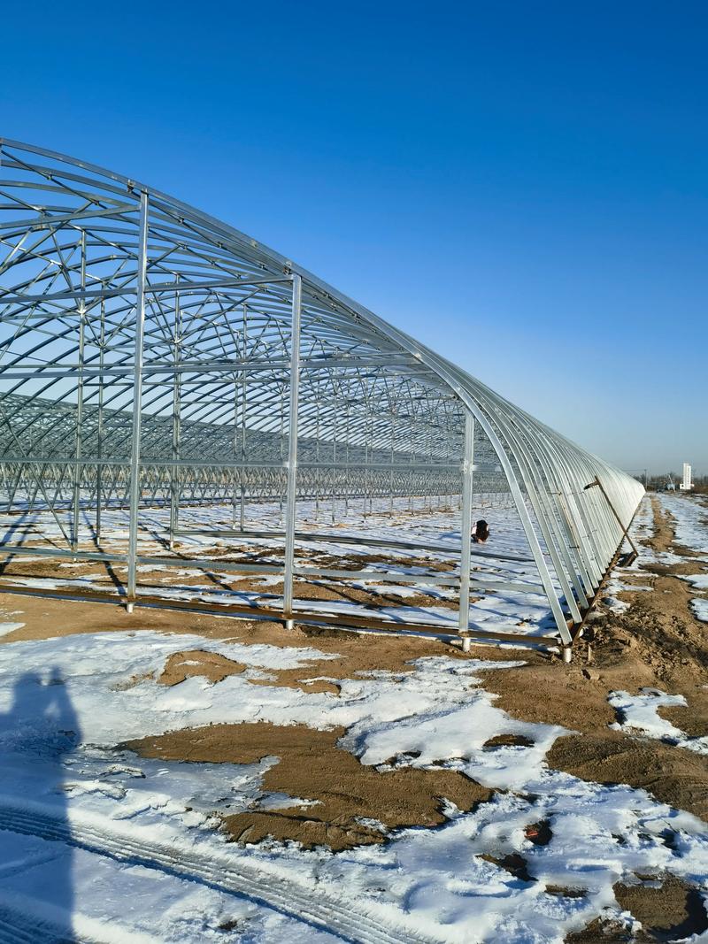 冬天塑料大棚管理技术有哪些关键要点?-图1 冬天塑料大棚管理技术有哪些关键要点?-图1